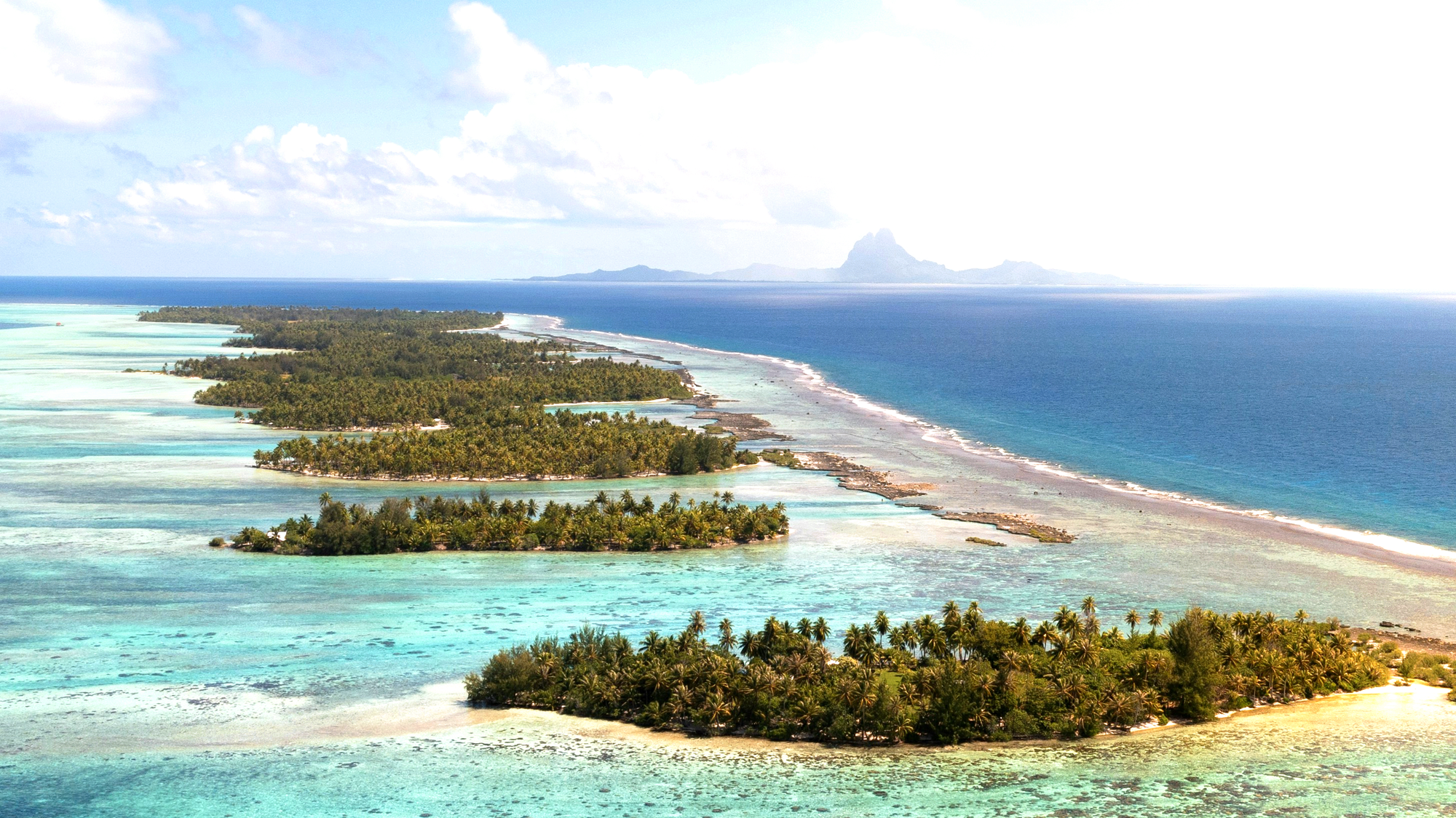 Resiliō 2-3-1: On pacific protectors shaping ocean policy, waste becoming mycelium wonder, finance adapting to storms
