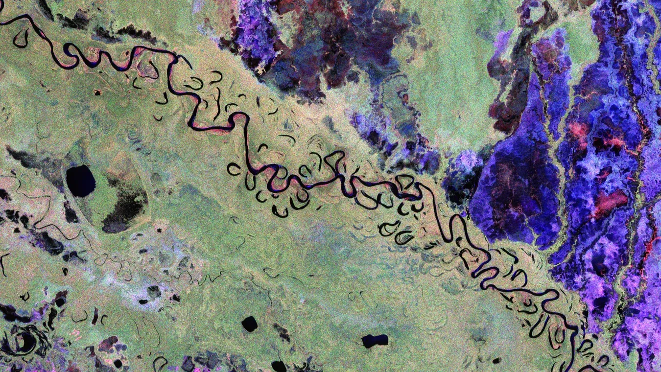Resiliō 2-3-1: On forest mysteries unveiled from space, bio-buildings cooling with climate, tech-enabled finance protecting lions