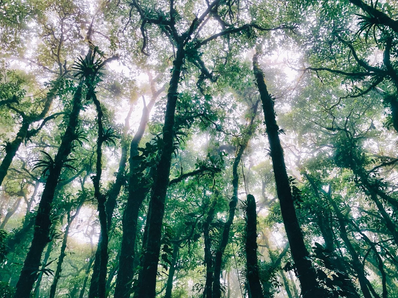 Resiliō 2-3-1: On Earth's health check, economics beyond growth, nature's intelligence meeting technology