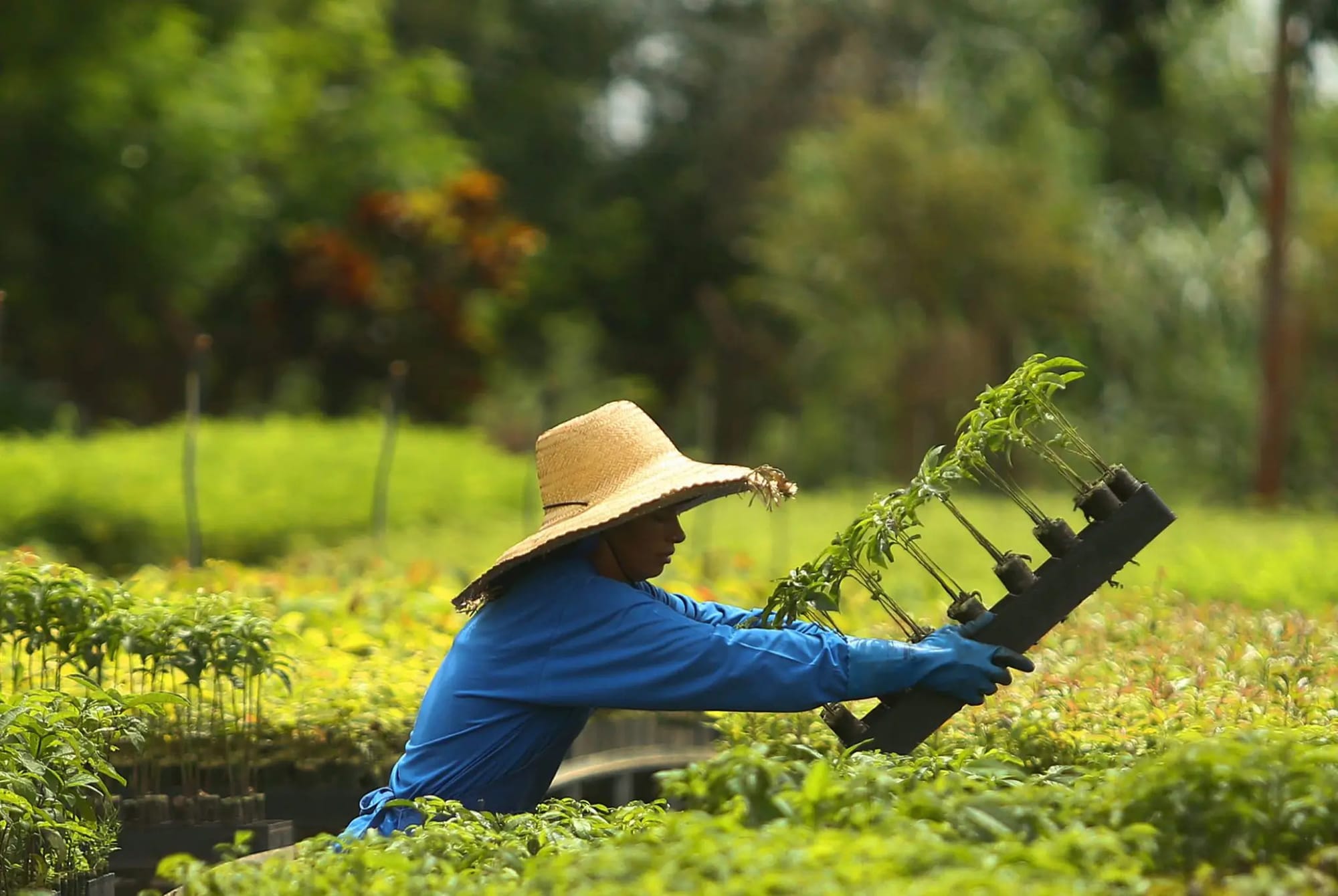 Resiliō 2-3-1: On Earth's health check, economics beyond growth, nature's intelligence meeting technology