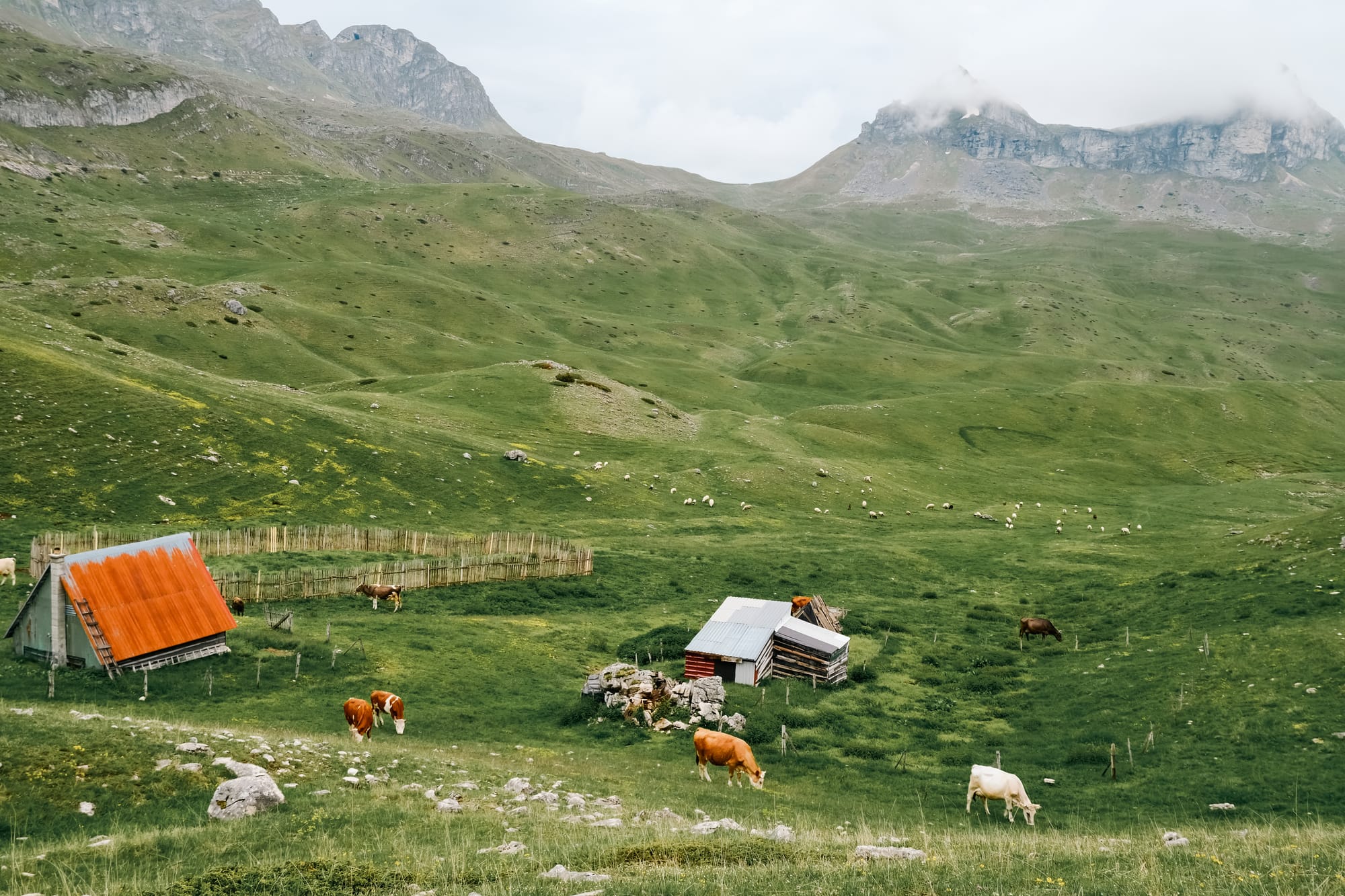 Resiliō 2-3-1: On forest loss slowing with new funding paradigm shift, AI-powered ocean plastics cleanup and electronics recycling at scale