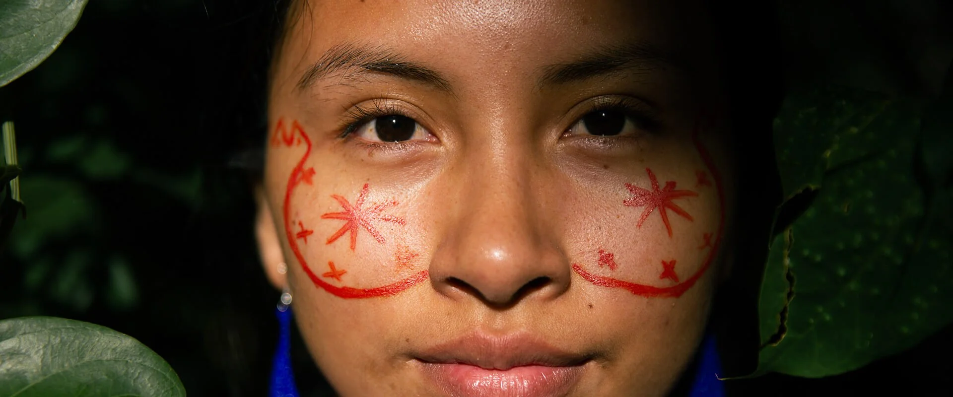 Resiliō 2-3-1: On Indigenous leadership transforming sustainable futures, digital hubs accelerating climate action, rocks capturing carbon feature image